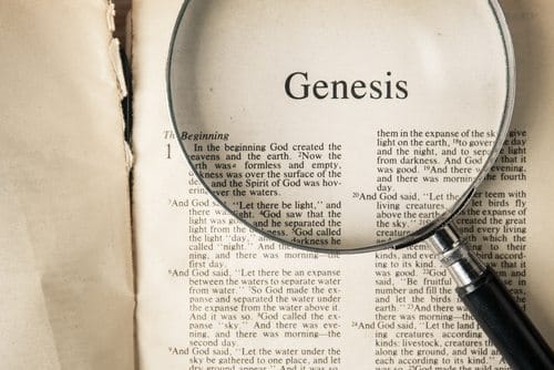 Genesis