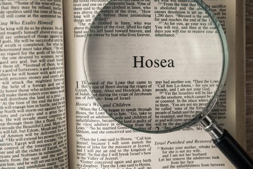 Hosea